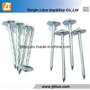 Q195 Roofing Nails with Umbella Head Plain Shank